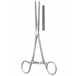 Stomach, Intes tines, Rectum